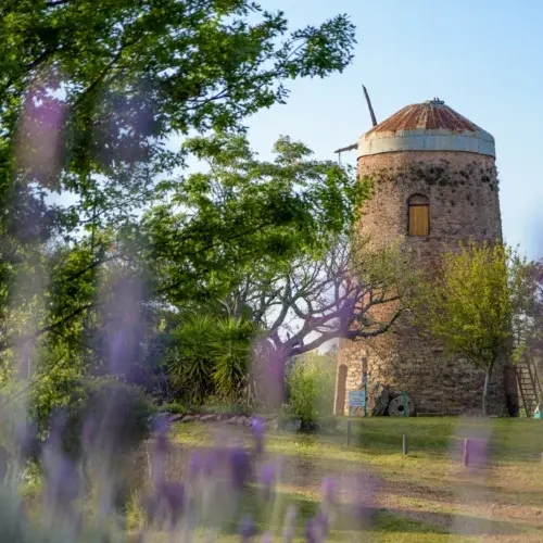 Molino Forclaz | San José